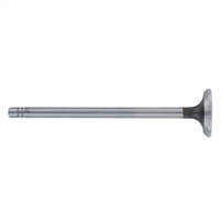 Exhaust Valve