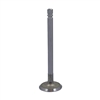 Exhaust Valve