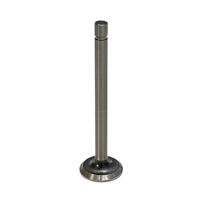 Exhaust Valve