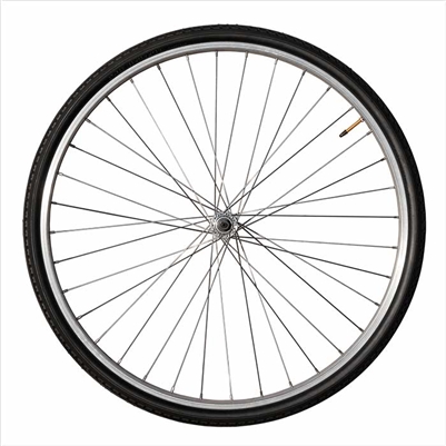 Bike Wheel