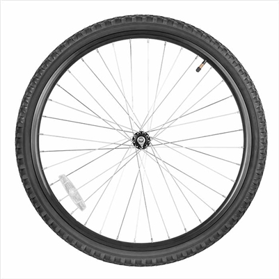 Mountain Bike Wheel