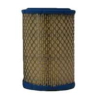 Fleetguard air filter, part number AF25550.