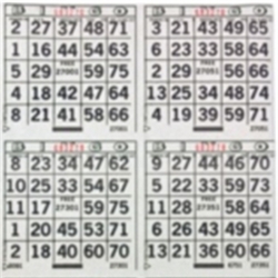 4 ON Bingo Paper