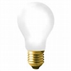 75 watt rough service bulb