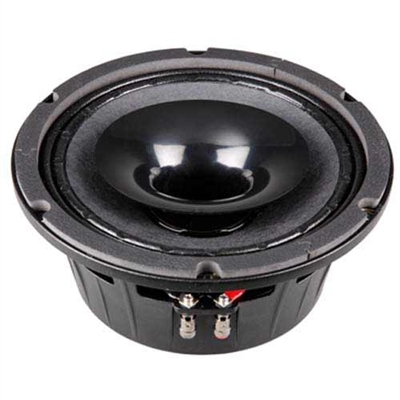 P Audio SN8-250CX Co-Ax Speaker