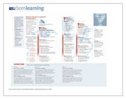 <span style="font-weight: bold;"><br><br>30363   Born Learning  Understanding Children - How does my Child Learn  </span>  <br><ul>