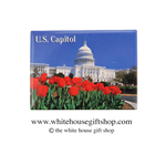 The U.S. Capitol, Magnet, Washington DC with Flowers