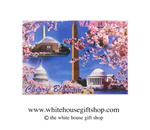 Washington D.C. Monuments, Magnet,