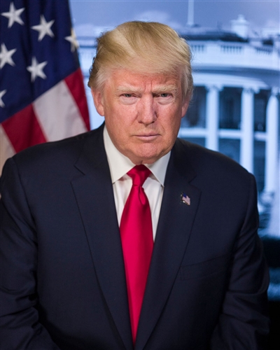 official portrait of president donald j trump