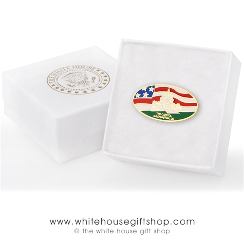 White House South Lawn Visitor Style Lapel Pin, Perfectly Baked Enamels with Protective Finish on Brass