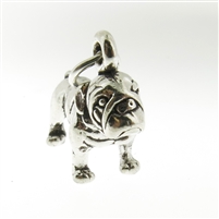 Sterling Silver Charm