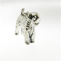 Sterling Silver Charm