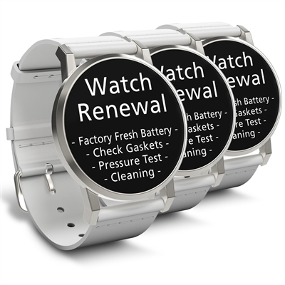 Watch Renewal for 3 Standard Grade Quartz Watches (Battery, Pressure Test, Cleaning)