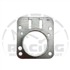 Gasket, Head, World Formula & Animal M Series