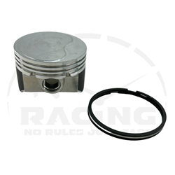 Piston, Briggs, World Formula, Standard