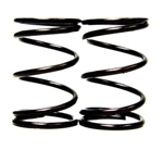 Springs, Valve, 10.8lb, BSP Trick, Heat-Treated, Pair