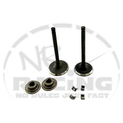 Valve Set, 420 Hemi Predator, 38/34mm