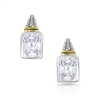 Two Tone Brilliance Earrings