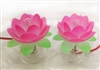 Lotus Lamp Pair