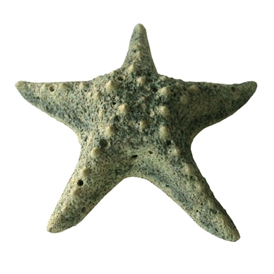 Starfish Ceramic Large - Moss Green..