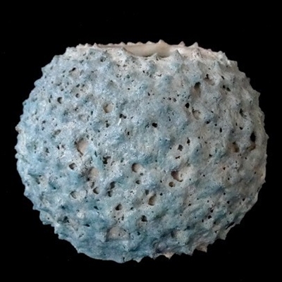Sea Blue Round Vase (S) 4x3"H..