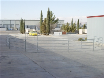 Horse Round Pen