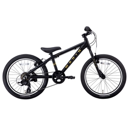 Marin Donkey Jr. 20" Kids Bike