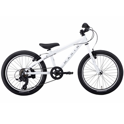 Marin Donkey Jr. 20" Kids Bike