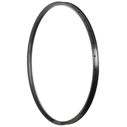 Stan's NoTubes Arch MK4 29 Disc Rim