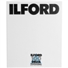 Ilford Delta 100 Professional Black and White Negative Film (4 x 5", 25 Sheets)