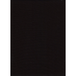 Promaster 10'X12' BLACK Background