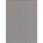 Promaster 10'X20' GRAY Background