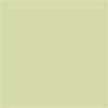 BACKGROUND 107in X12yd GREEN-SEA