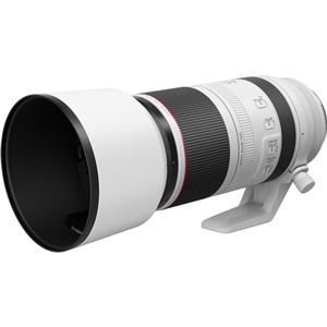 Canon RF 100-500mm f4.5-7.1L IS USM Lens