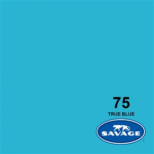 Savage Widetone Seamless Background Paper (#75 True Blue, 53in x 36ft)