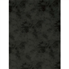 Promaster 6'X10' CHARCOAL Background