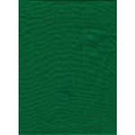 Promaster 6'X10' CHROMA GREEN Background