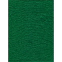 Promaster 6'X10' CHROMA GREEN Background