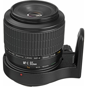 Canon MP-E 65mm f/2.8 1-5x Macro Photo Lens