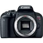 Canon EOS Rebel T7i DSLR Camera (Body Only)