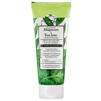 Grace Day Real Fresh Mugwort And Tea Tree Foam Cleanser 3.38oz / 100ml