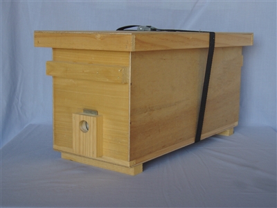 Lightweight Ply Nucleus Hive assembled