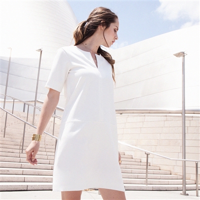 The Gwyneth Shift Dress