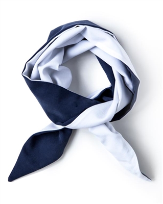 Nautical Skinny Neck Scarf