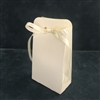 Tent Favor Box