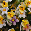 Bees on daisy