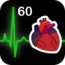 Heart Works 60