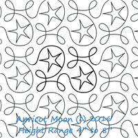 Digital Quilting Design Ginger Star by Apricot Moon.
