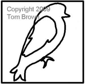 Digital Quilting Design Leslie's Bird 1 by Tom Brown.