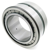 SL045004 Sheave Bearing 2 Rows Full Complement Bearings with Inner Ring 20x42x30mm